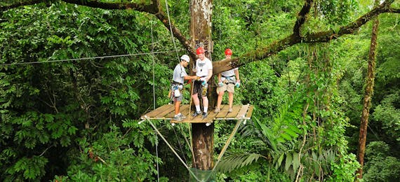 Canopy Safari