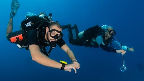 Intro Week Dive Package