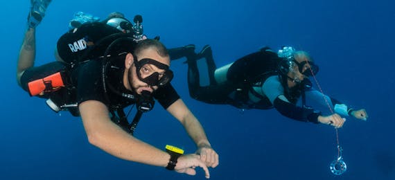 Intro Week Dive Package