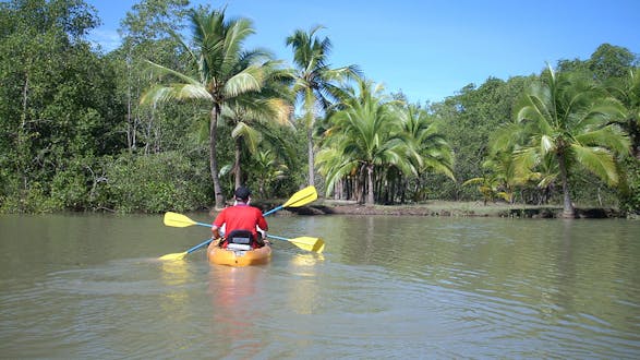 Mangrove Kayaking