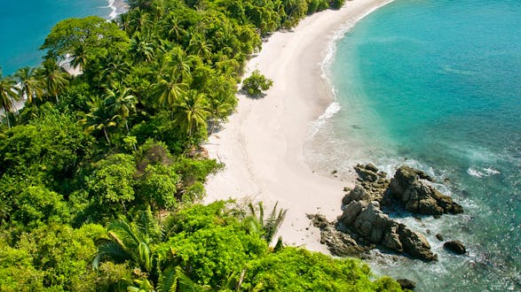 Manuel Antonio Park Guided Tour