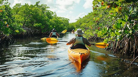 Jozani Forest, Cultural Village and Mangrove Canoeing Experience