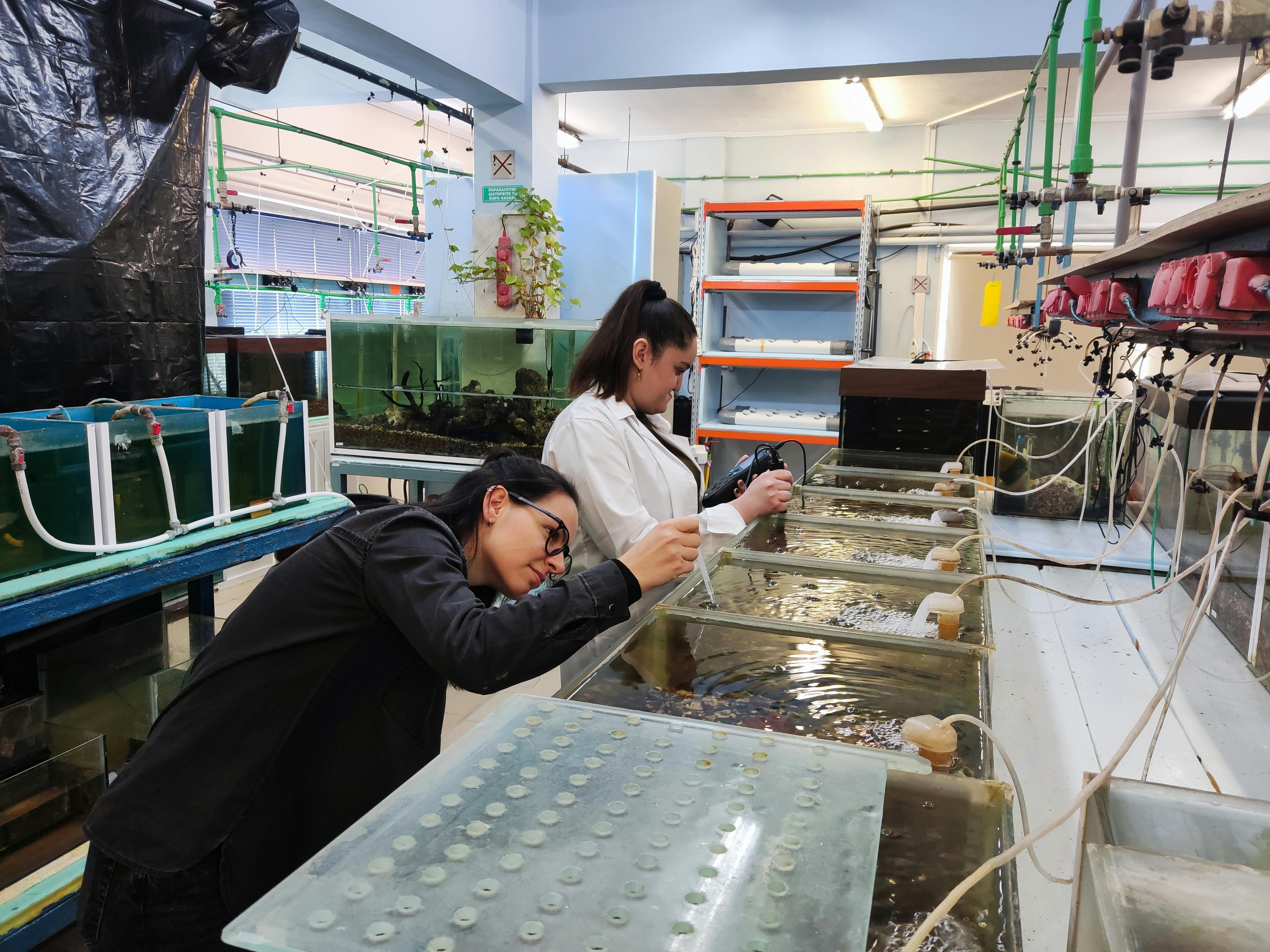Aquaculture & Fisheries Internships in Athens