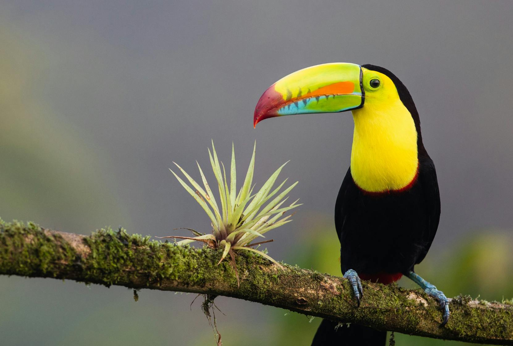 Intern Abroad in Costa Rica with Intern Abroad HQ