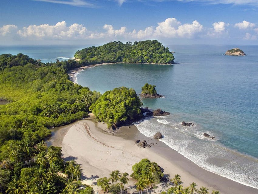 NGO Support for Marine Conservation